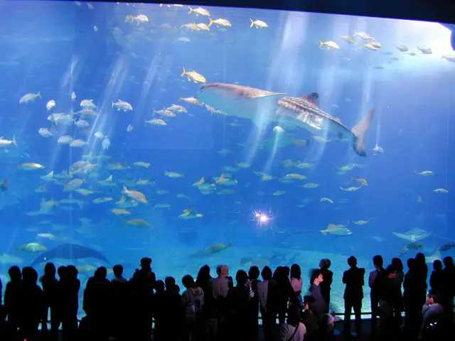 Image of The Lost Chambers Aquarium in Dubai