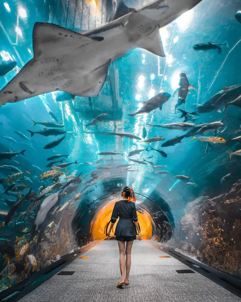 Image of The Lost Chambers Aquarium in Dubai