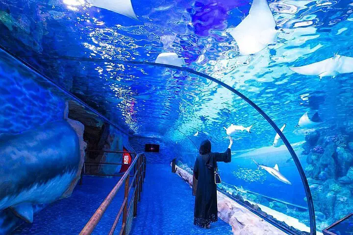 Image of The Lost Chambers Aquarium in Dubai