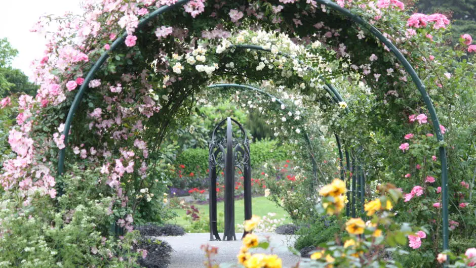 Image of Auckland Botanic Gardens