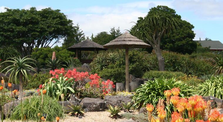 Image of Auckland Botanic Gardens: A Horticultural Wonderland