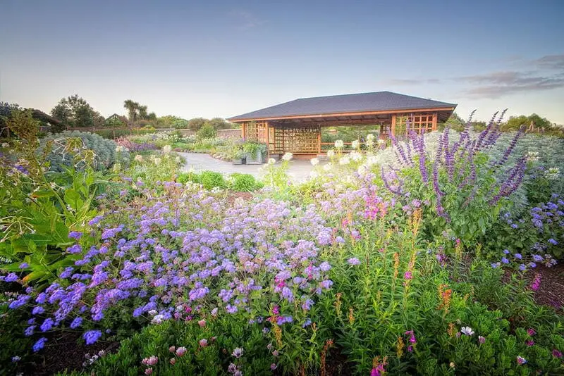 Image of Auckland Botanic Gardens