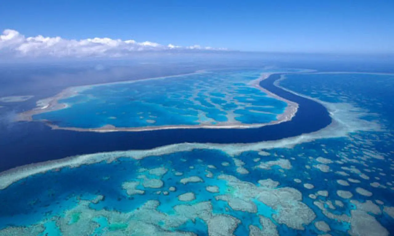 Image of Auckland's Eco-Haven: Great Barrier Island