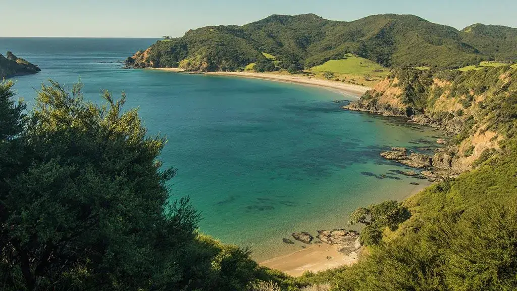 Image of Auckland's Eco-Haven: Great Barrier Island