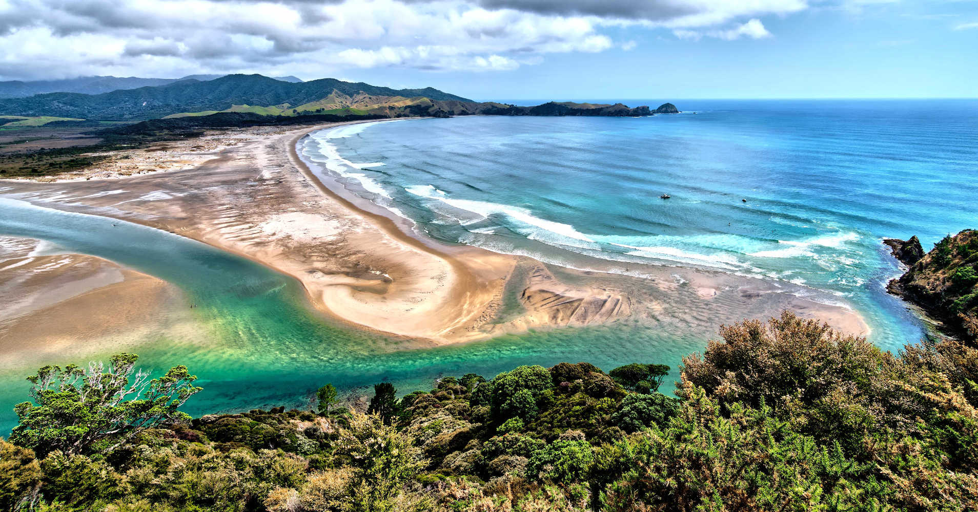 Image of Auckland's Eco-Haven: Great Barrier Island