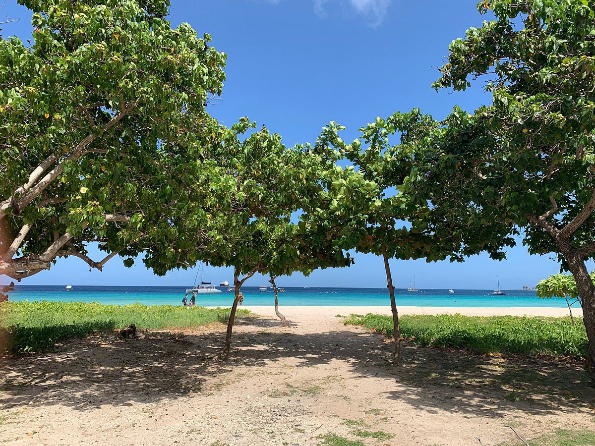 Image of Carlisle Bay Barbados