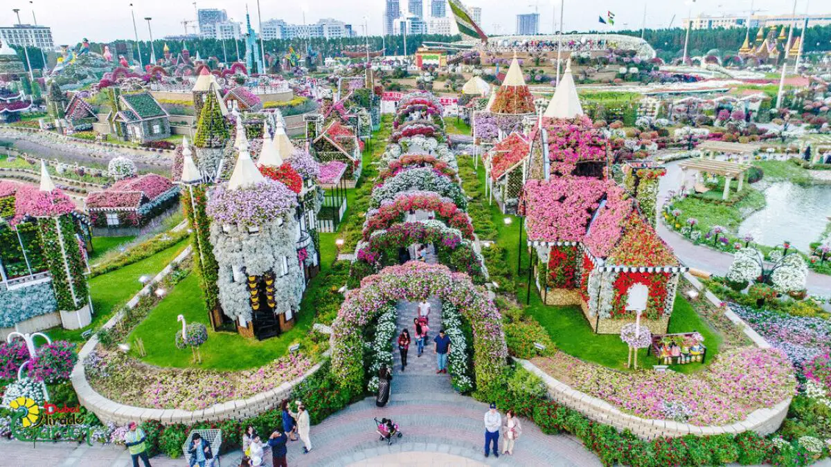 Image of Miracle Garden in Dubai