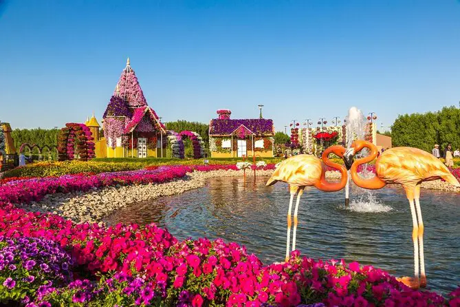 Image of Miracle Garden in Dubai