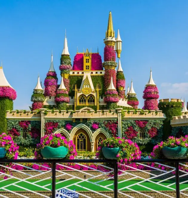 Image of Miracle Garden in Dubai