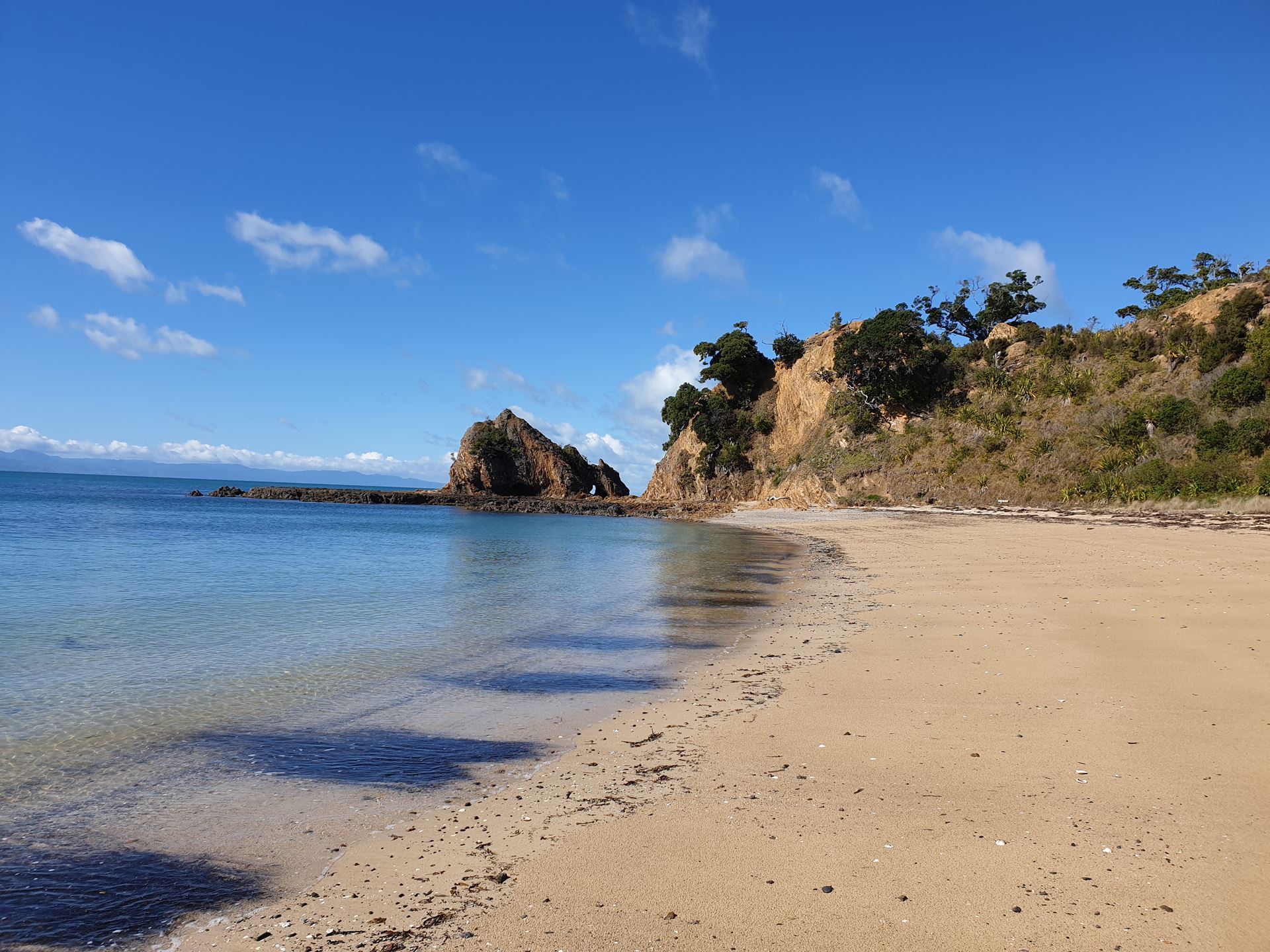 Image of Rotoroa Island's Peaceful Retreat in Auckland