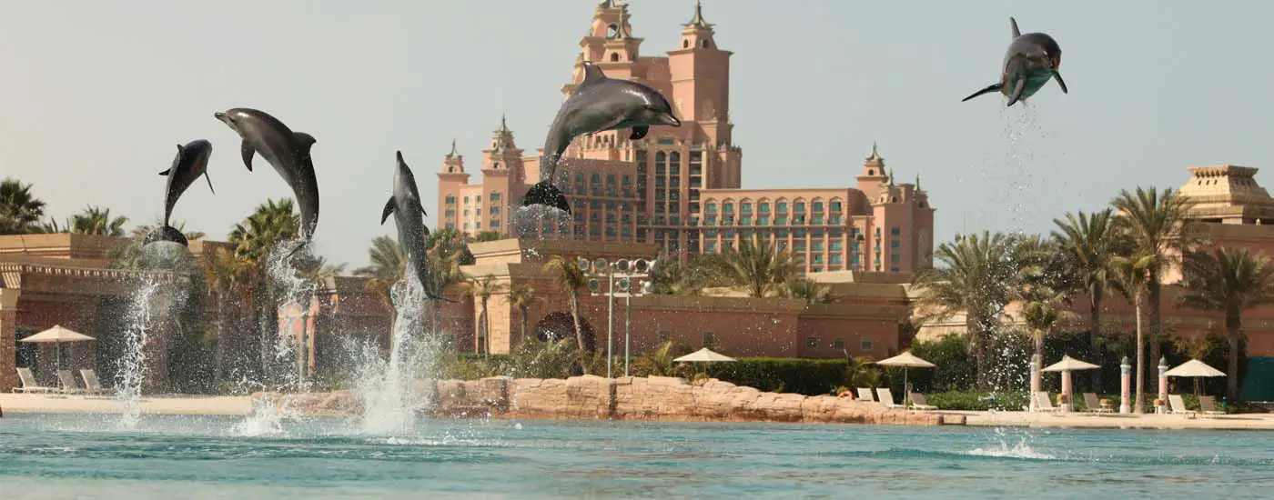 Image of Sea Lion Point Dubai