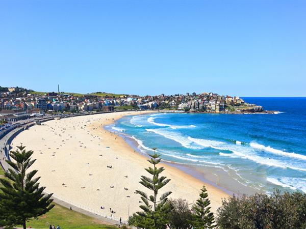 Image of Sydney: A Tapestry of Culture and Nature