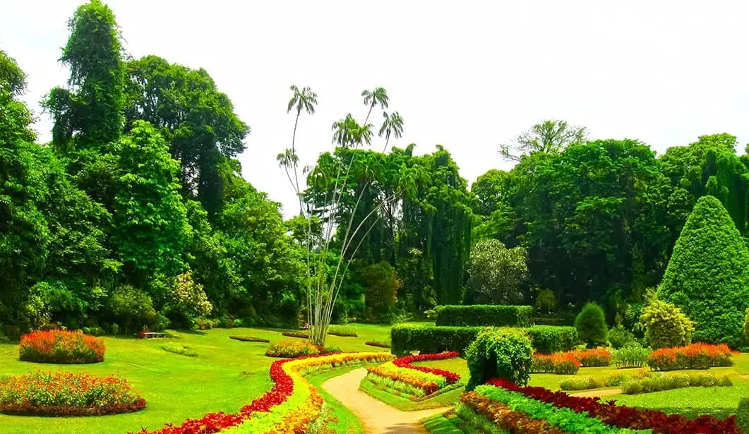 Image of Sydney: A Tapestry of Culture and Nature