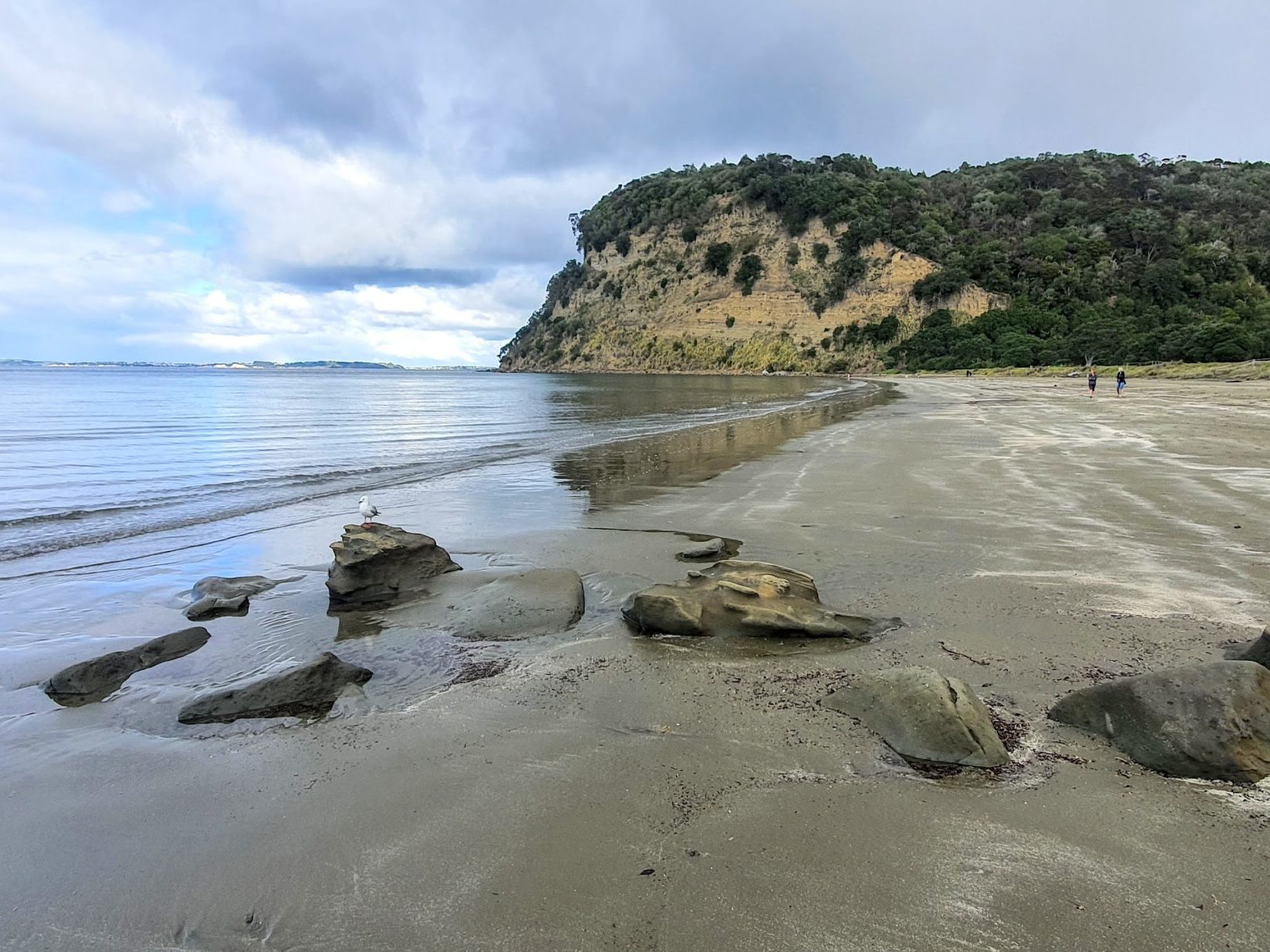 Image of Wenderholm Regional Park Auckland